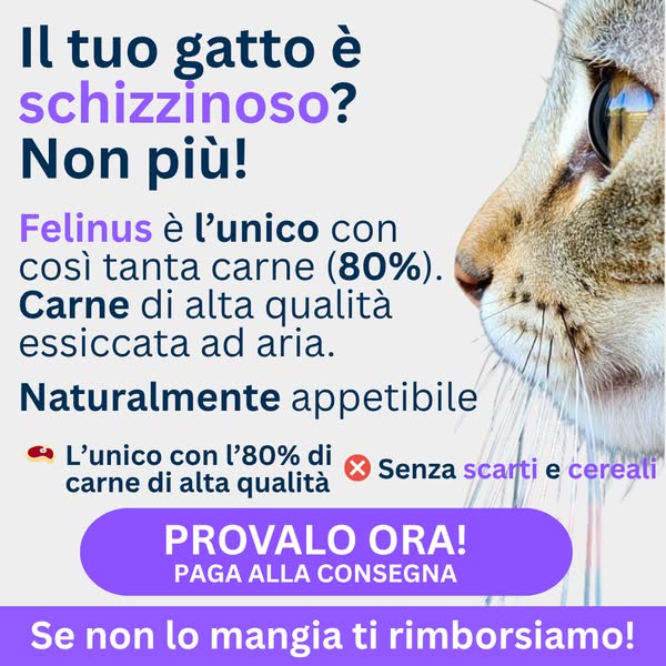 Paga anche alla consegna