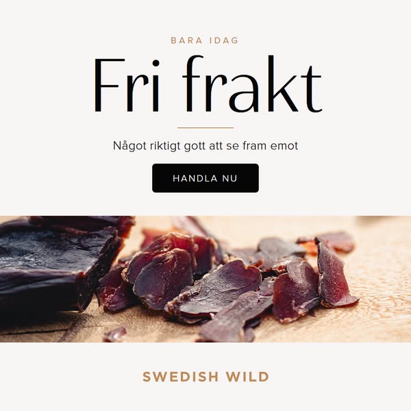 Fri frakt bara idag