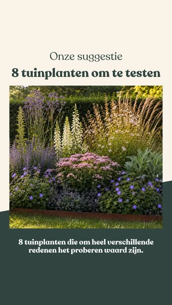 Klaar voor een interessante tuin?