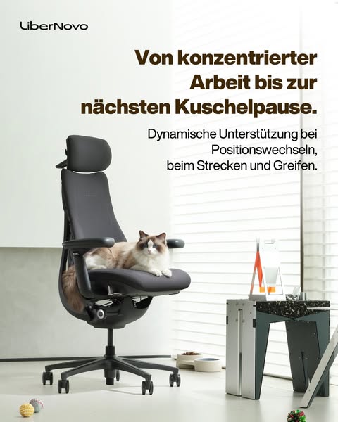 Dynamische Unterstützung den ganzen Tag