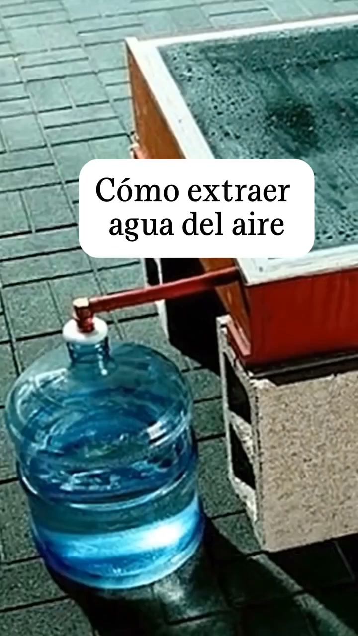 200 habilidades perdidas que ya no se enseñan