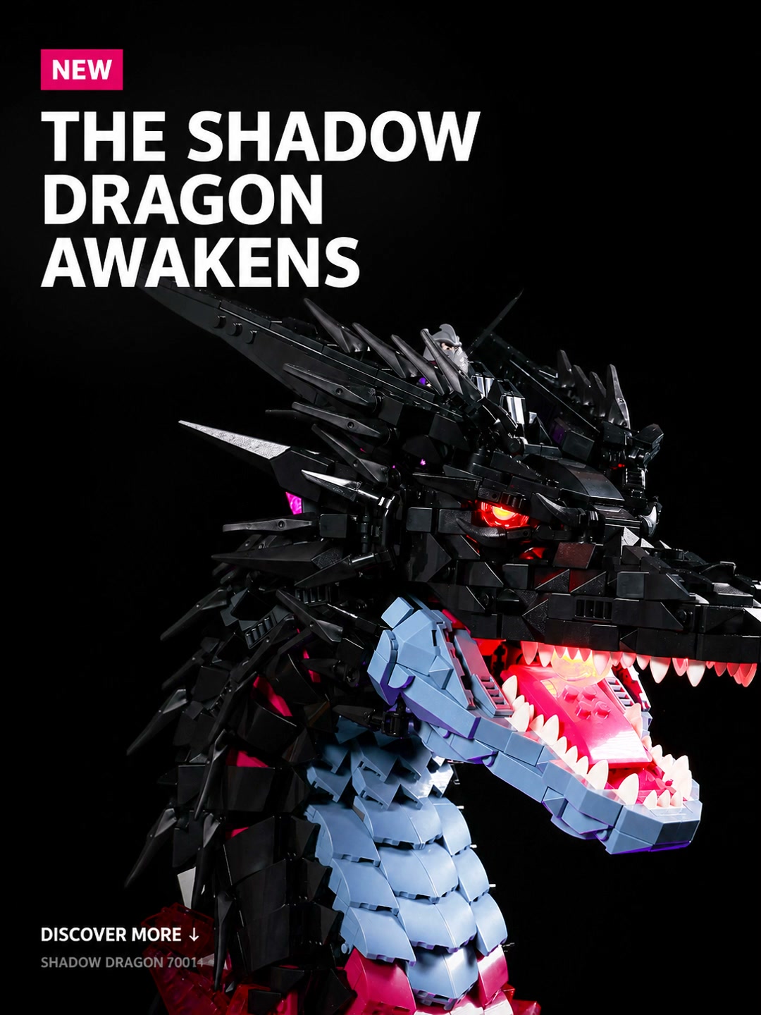 The Shadow Dragon Awakens
