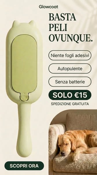 Basta peli ovunque.