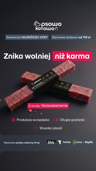 Kup teraz ser himalajski dla psa