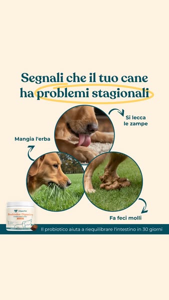 Aiuta il tuo cane oggi