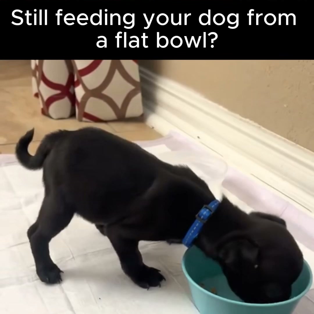 Orthopedic Bowl
