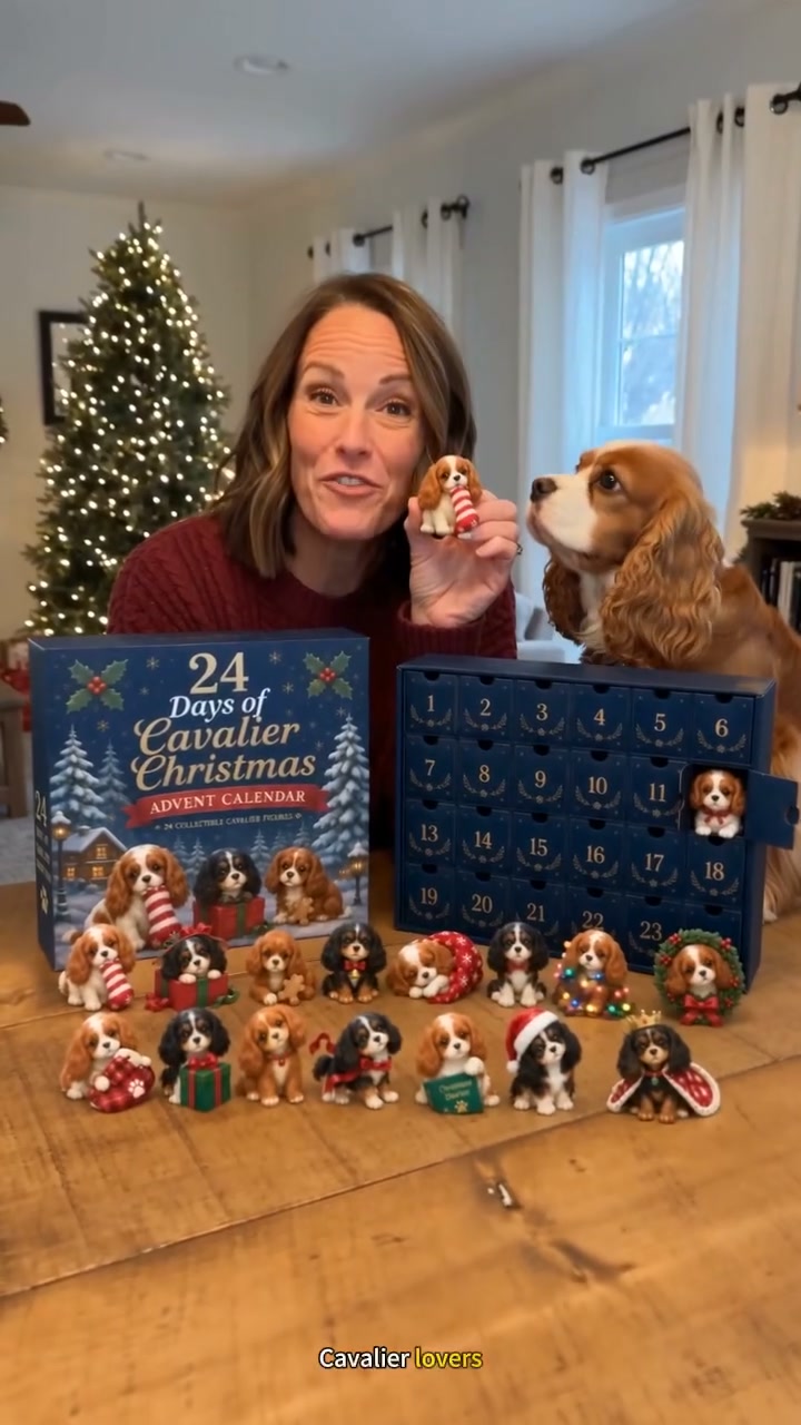 24 Days of Cavalier Christmas Advent Calendar 2026 – 24 Collectible Cavalier Surprises