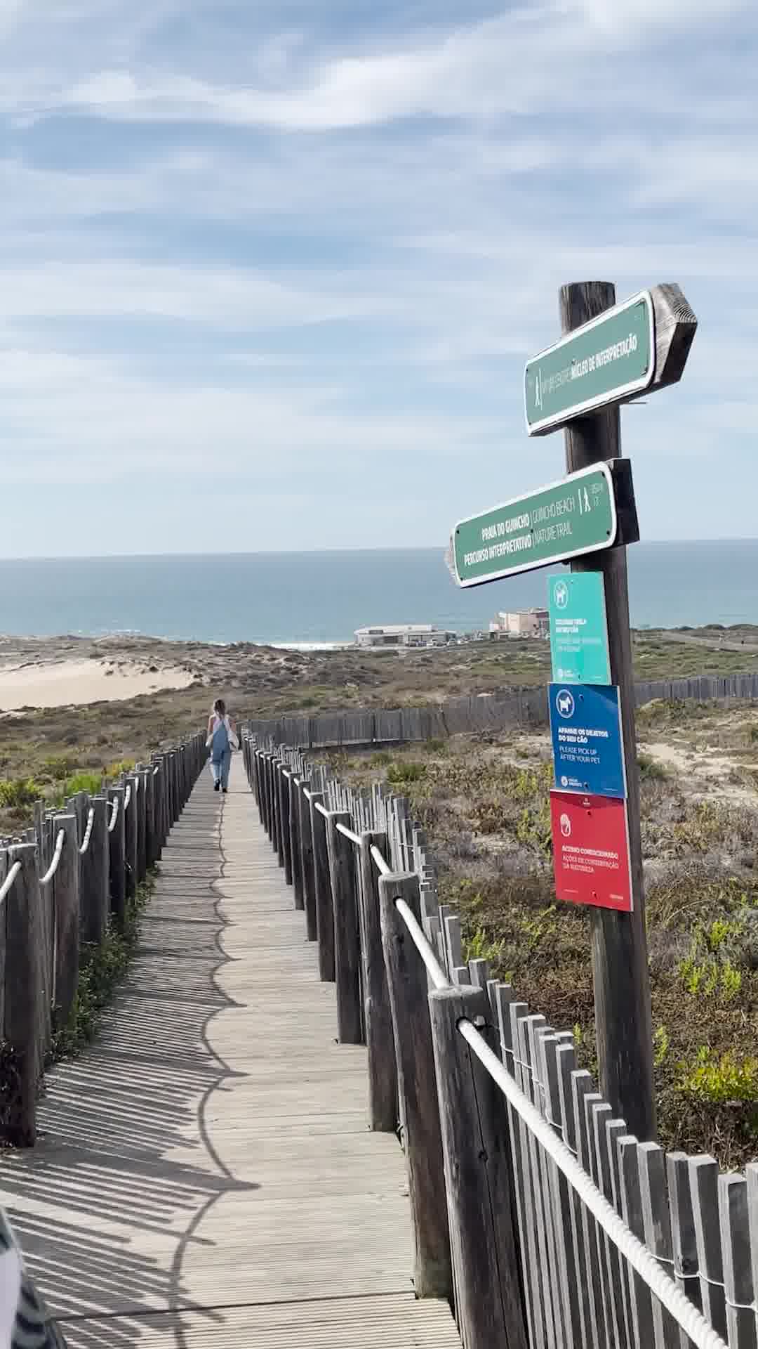 Anúncio de Lara Titonn