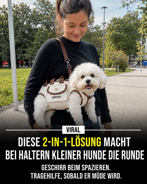Nur für kurze Zeit!
