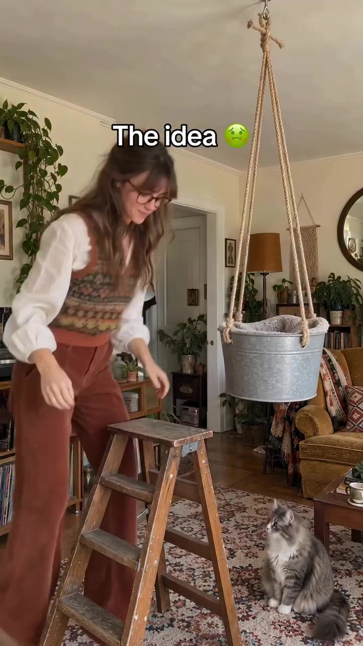 Your Cat's New Favourite Spot