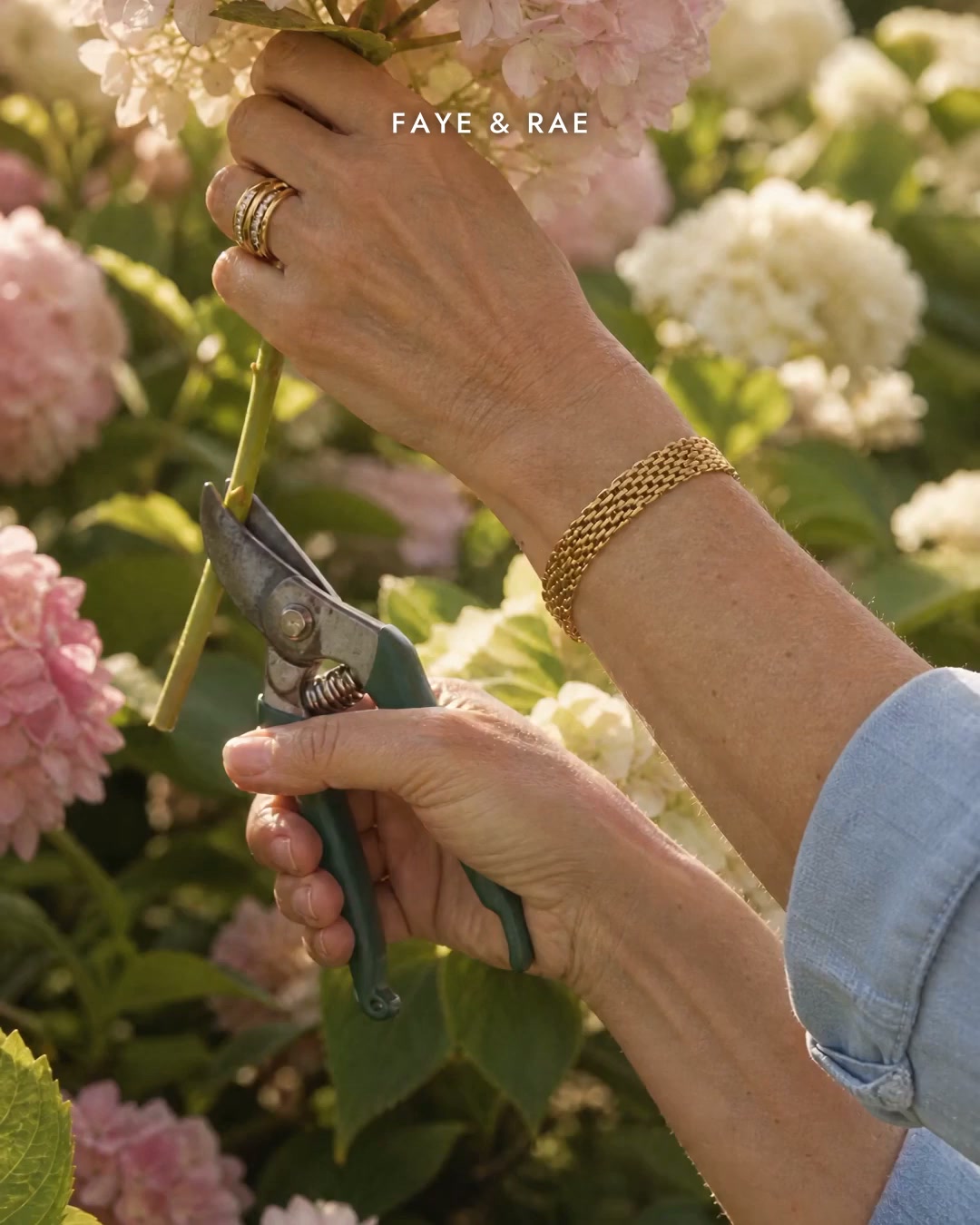 Lifetime Colour Warranty