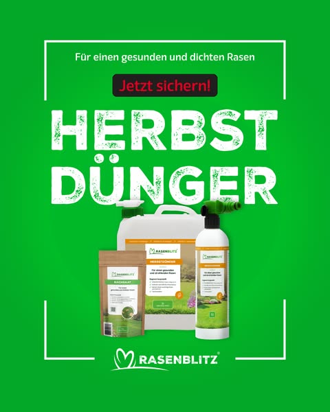 Herbstdünger flüssig: 3 Minuten, Schlauch dran, fertig
