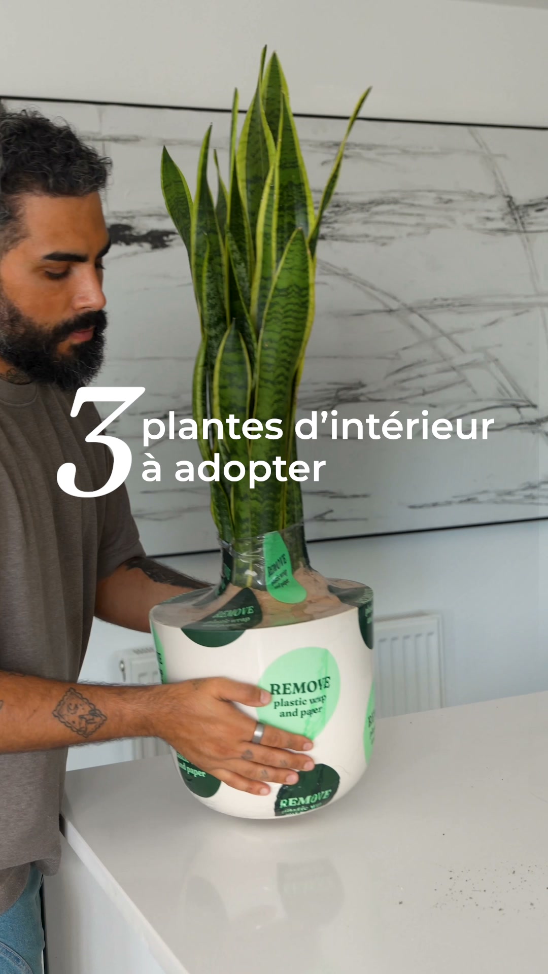 Des plantes qui s'arrosent toutes seules