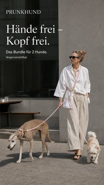 neue Lieblingsleine gesucht?