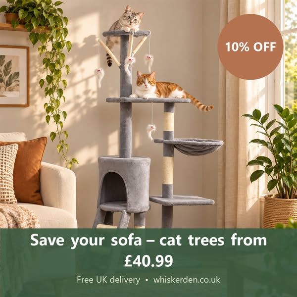 Cat trees from £40.99