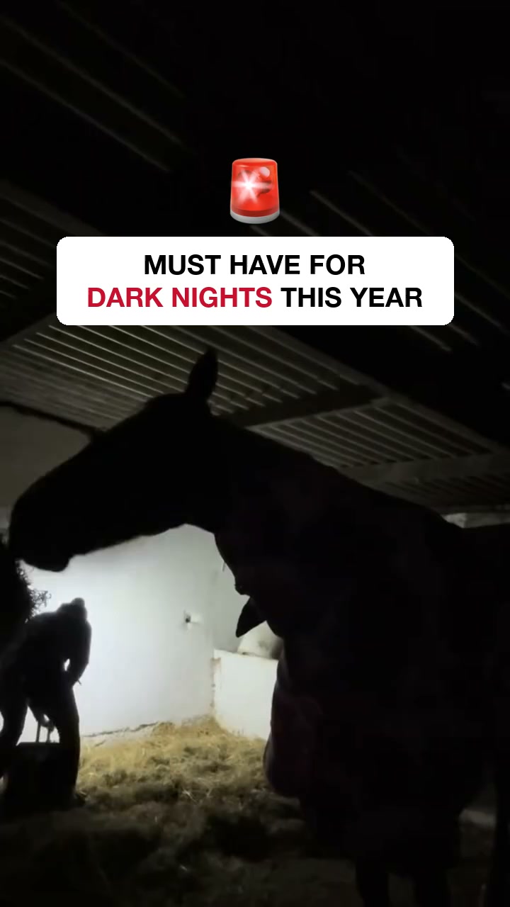 The headlamp that lights up the whole room