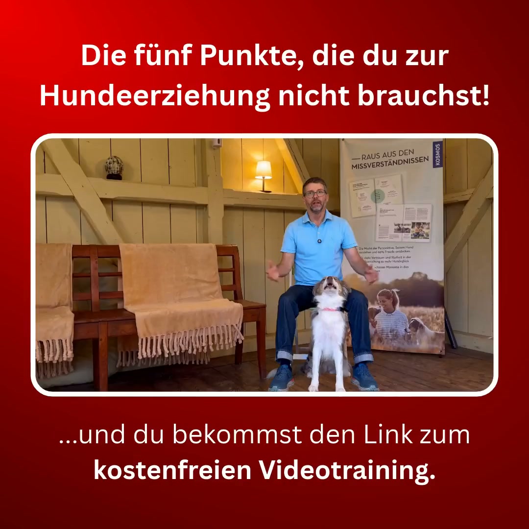 Jetzt ansehen