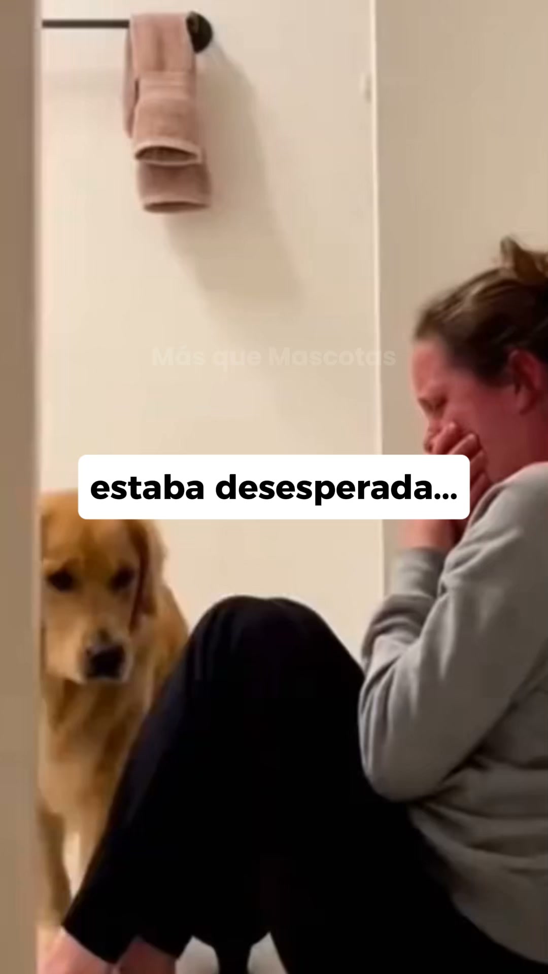 pensé que lo perdía
