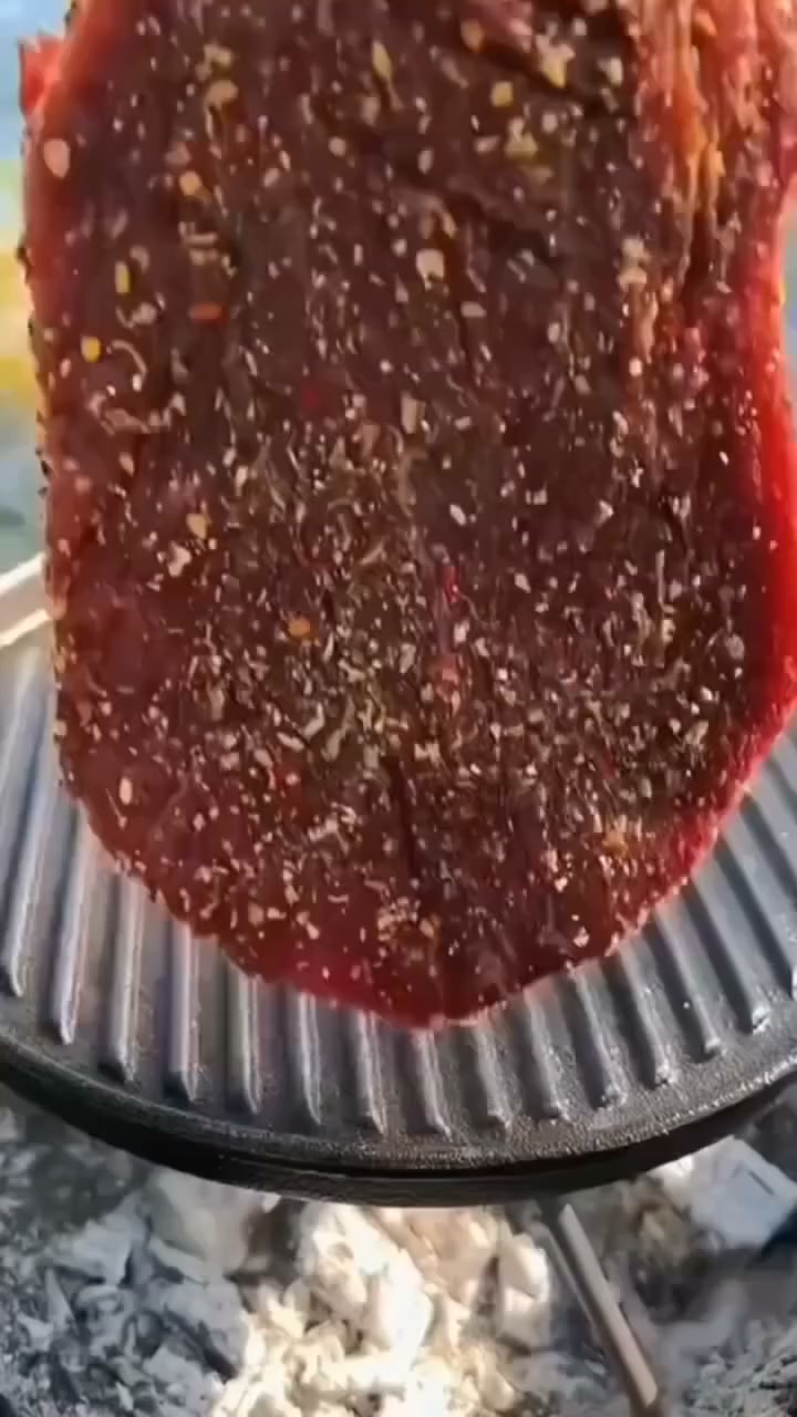 Best Meat Tenderizer Ever