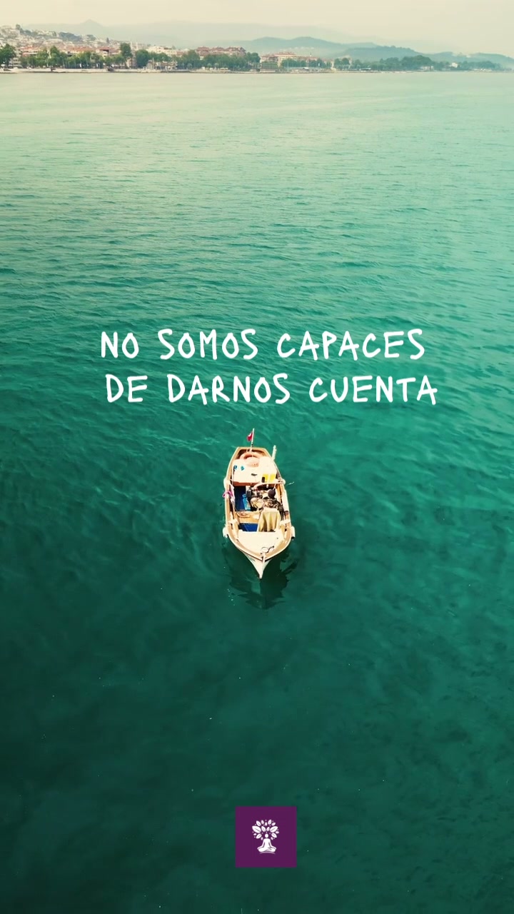 Recibe una reflexión cada dia