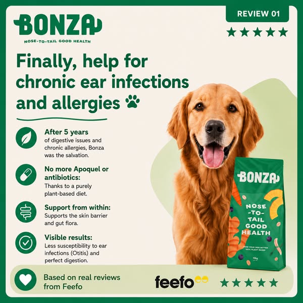 Plant-based food to help your dog thrive.