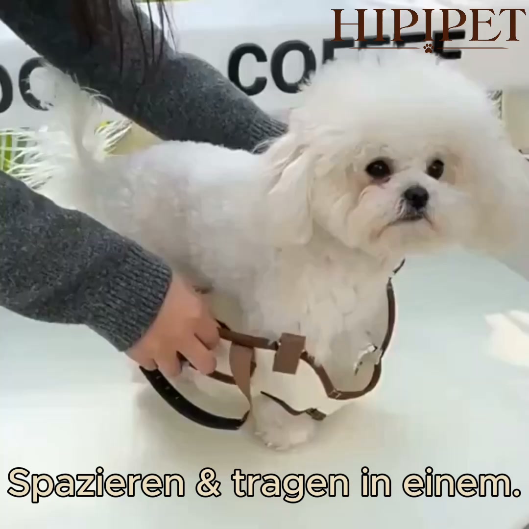 Nur für kurze Zeit!