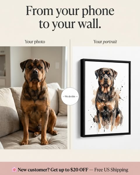 Welcome to Fido & Frame — $20 OFF