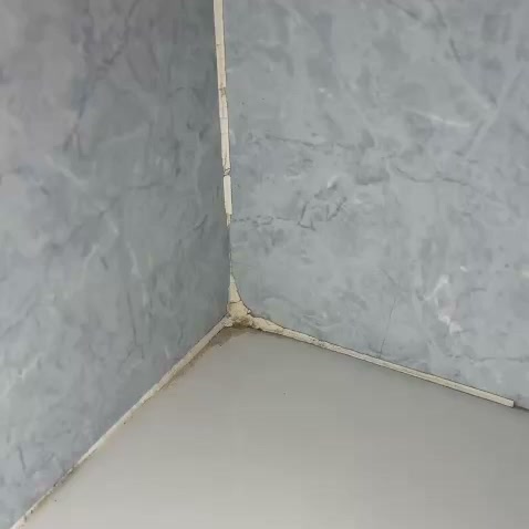 Envío gratuito | Paga cuando lo recibas