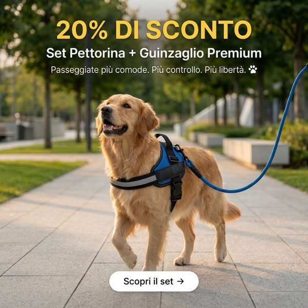 Set Pettorina + Guinzaglio EasyClick