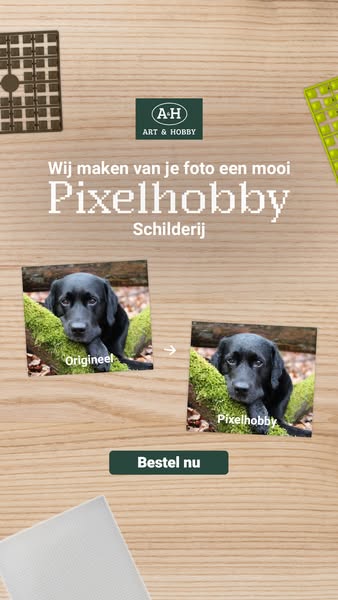 Ontdek Pixelhobby bij Art & Hobby