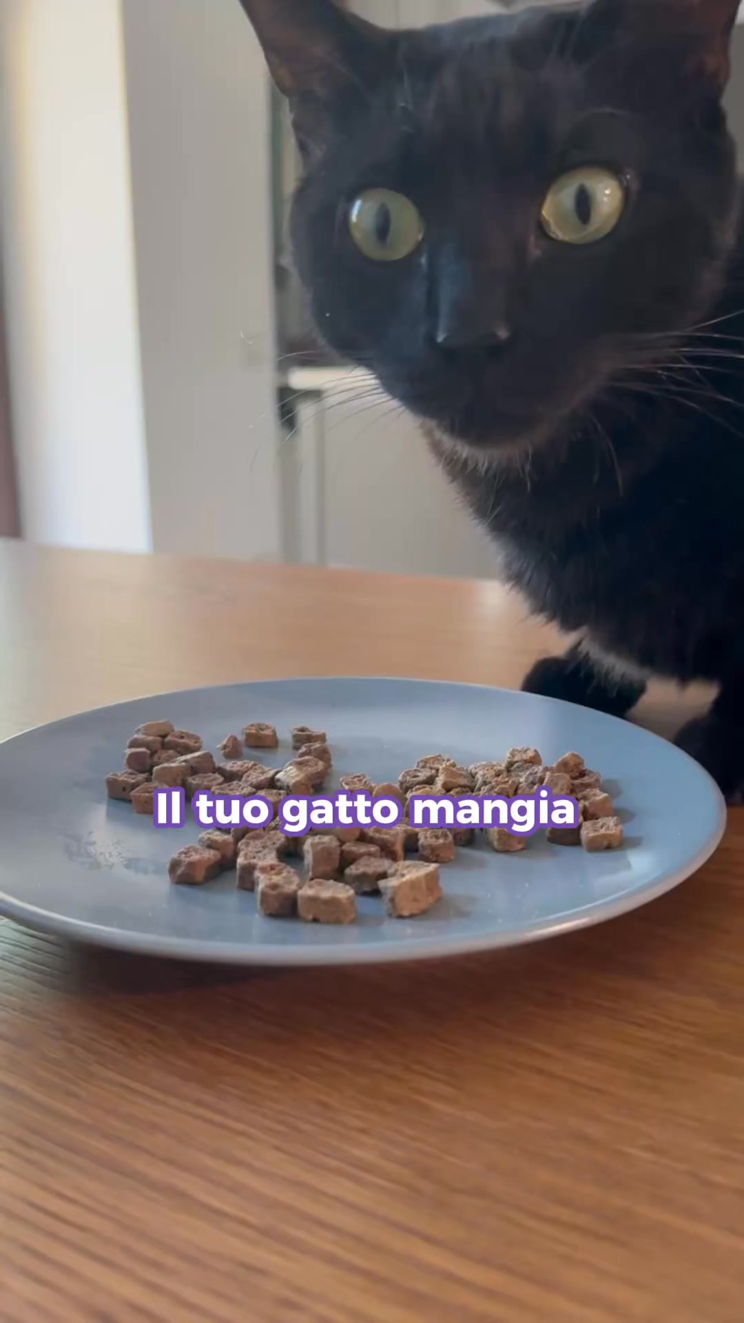 Paga anche alla consegna