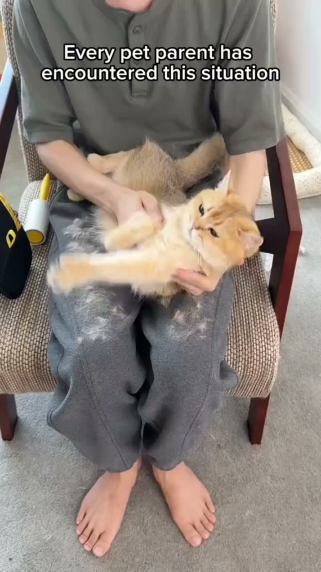 95% Hair Removal In One Swipe
