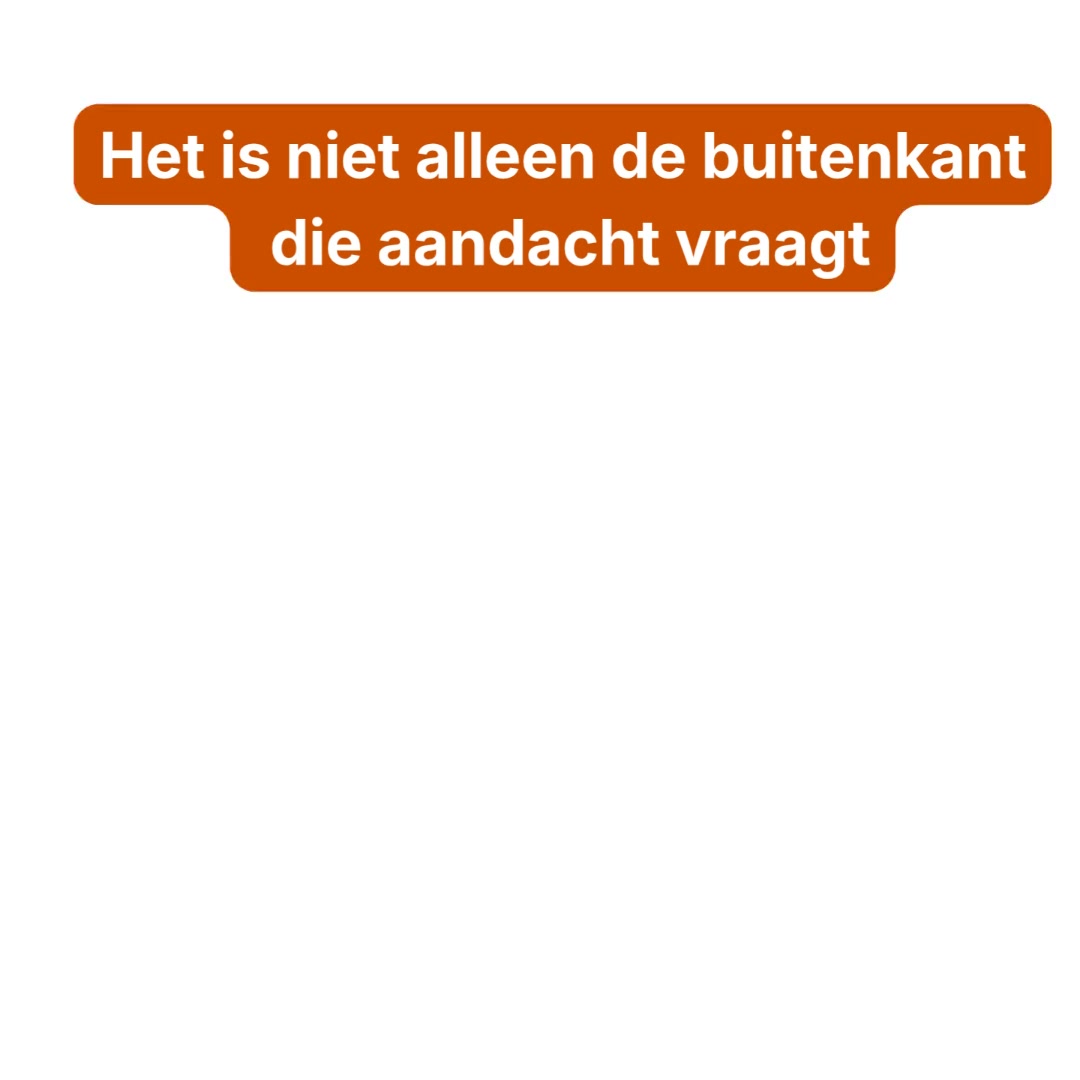 Een gelukkige hond. Een blije buik