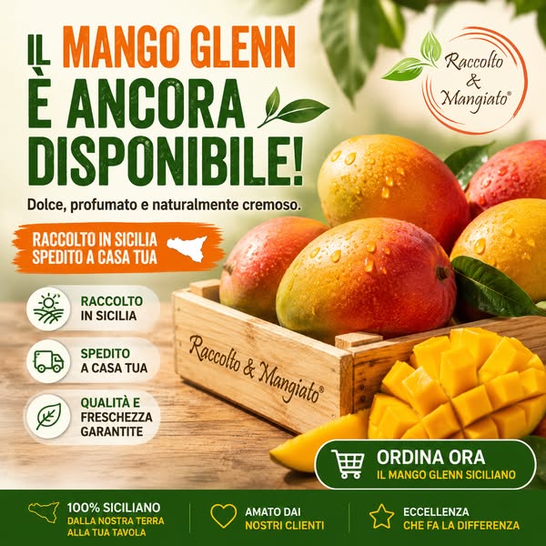 Mango Glenn ancora disponibile