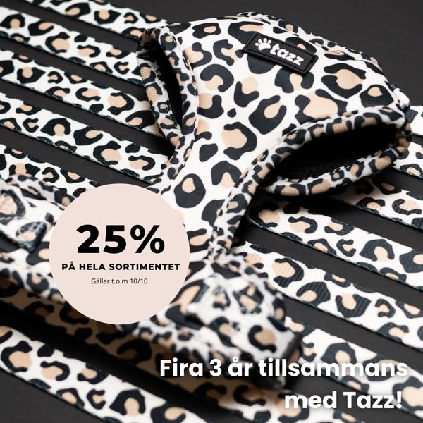 25% på allt – t.o.m. 10/10