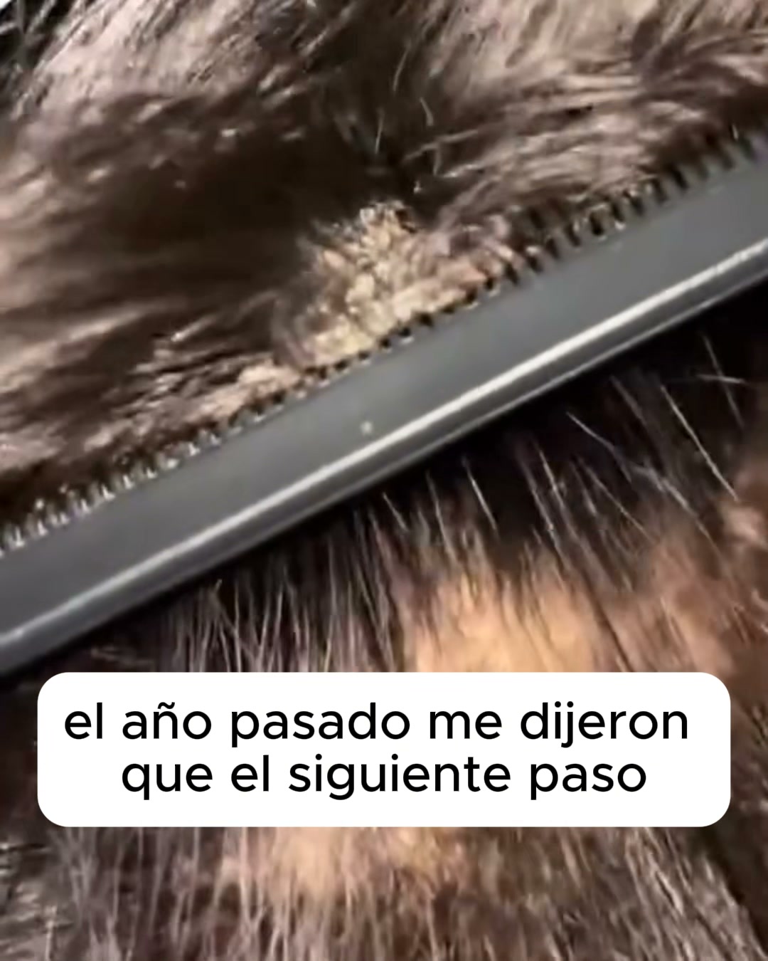 El bálsamo natural que frena el picor de raíz.