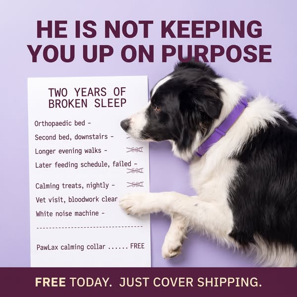 Free Today (Shipping Fee Applies)