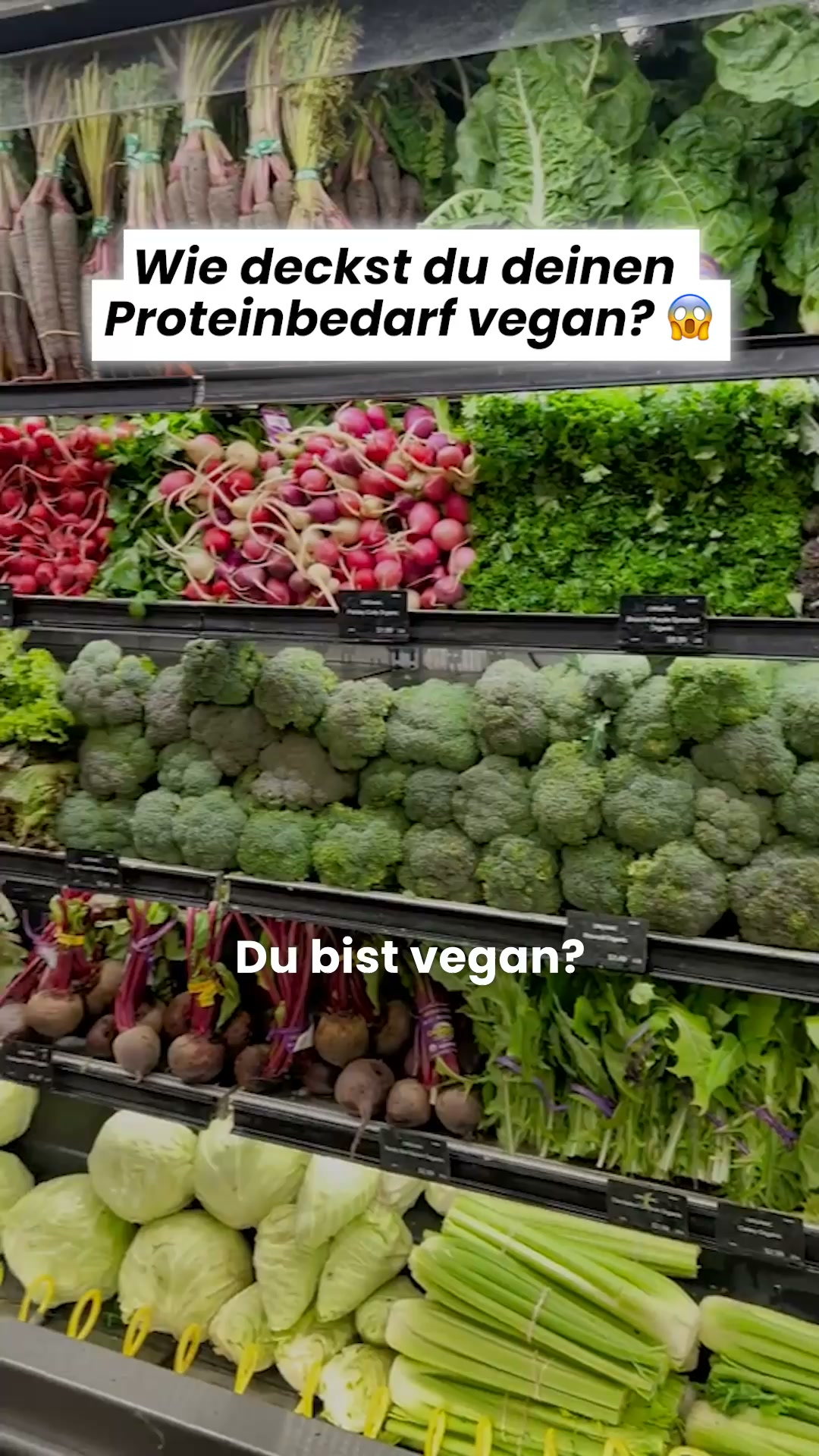 Ohne Sucralose, Aspartam und Süßstoffe