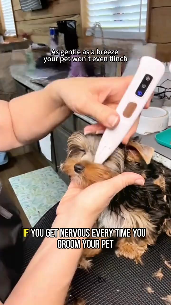 Rechargeable Pet Hair Trimmer Kit