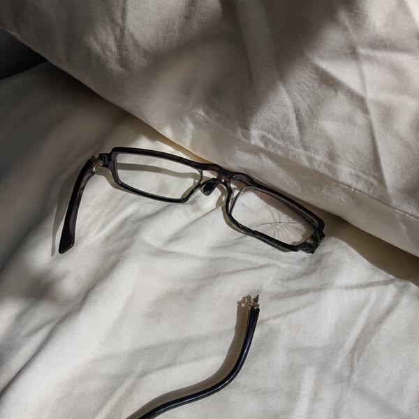 I HEARD THE CRACK BEFORE I FOUND THEM2
