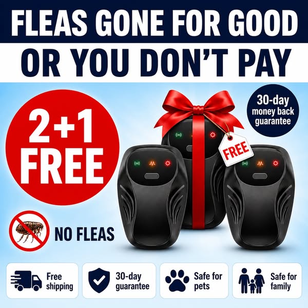 Limited offer: 2+1 FREE - Limited Stock