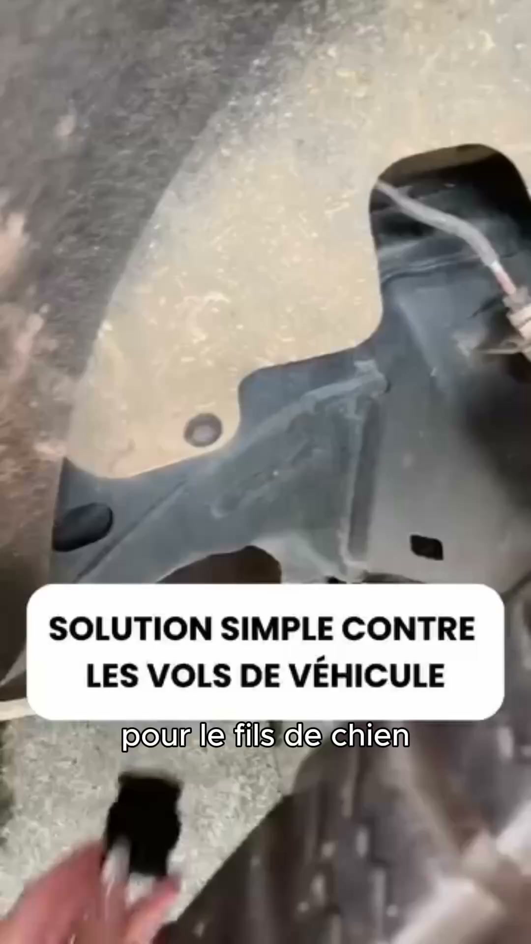 50% jusqu'à minuit seulement