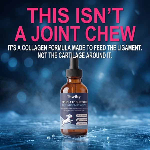 Joint Chews Feed Cartilage. A Cruciate Isn't.