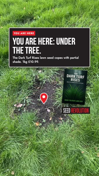 Find Your Perfect Lawn Mix