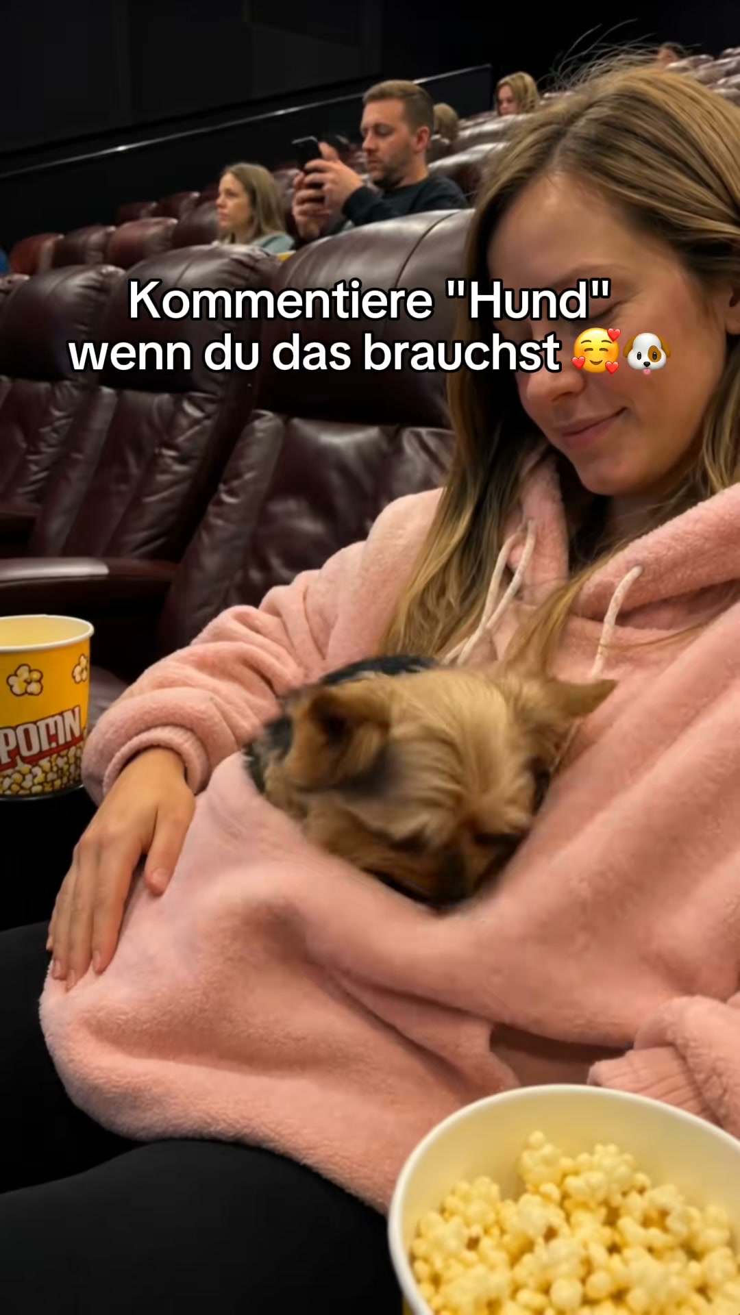 Dein Liebling ganz nah – mit dem Pet-Tragehoodie