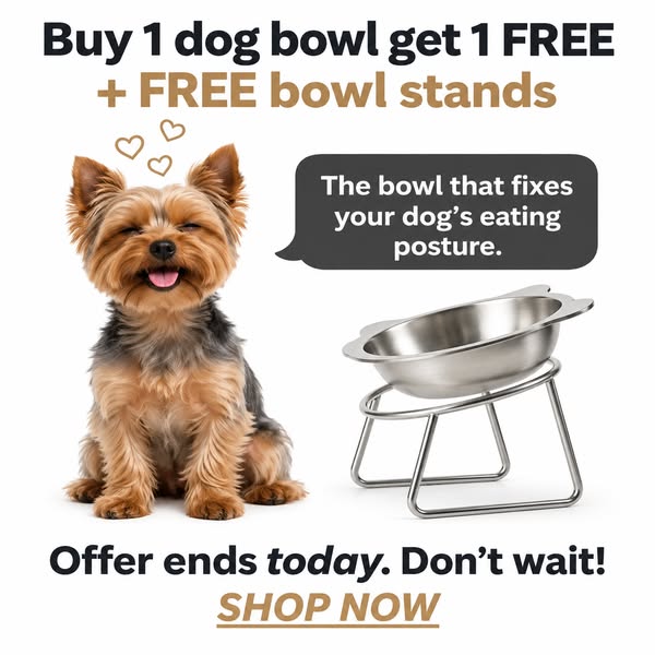 SteelPaw™ Raised Bowl