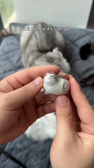 Emotional Gift For Pet Lovers