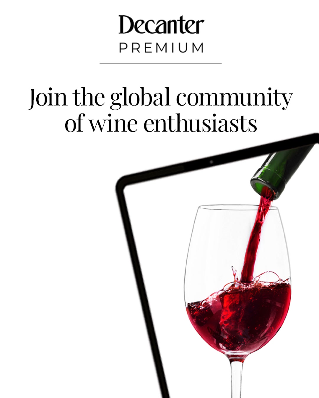 Discover the world of wine