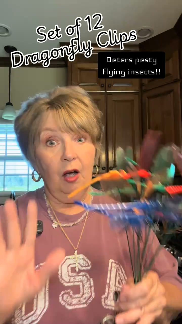 3D Dragonfly Bug Repellent Clips