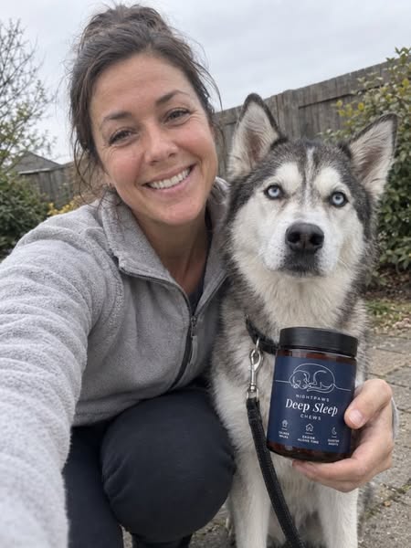 How To Fix Your Dog's Reactivity